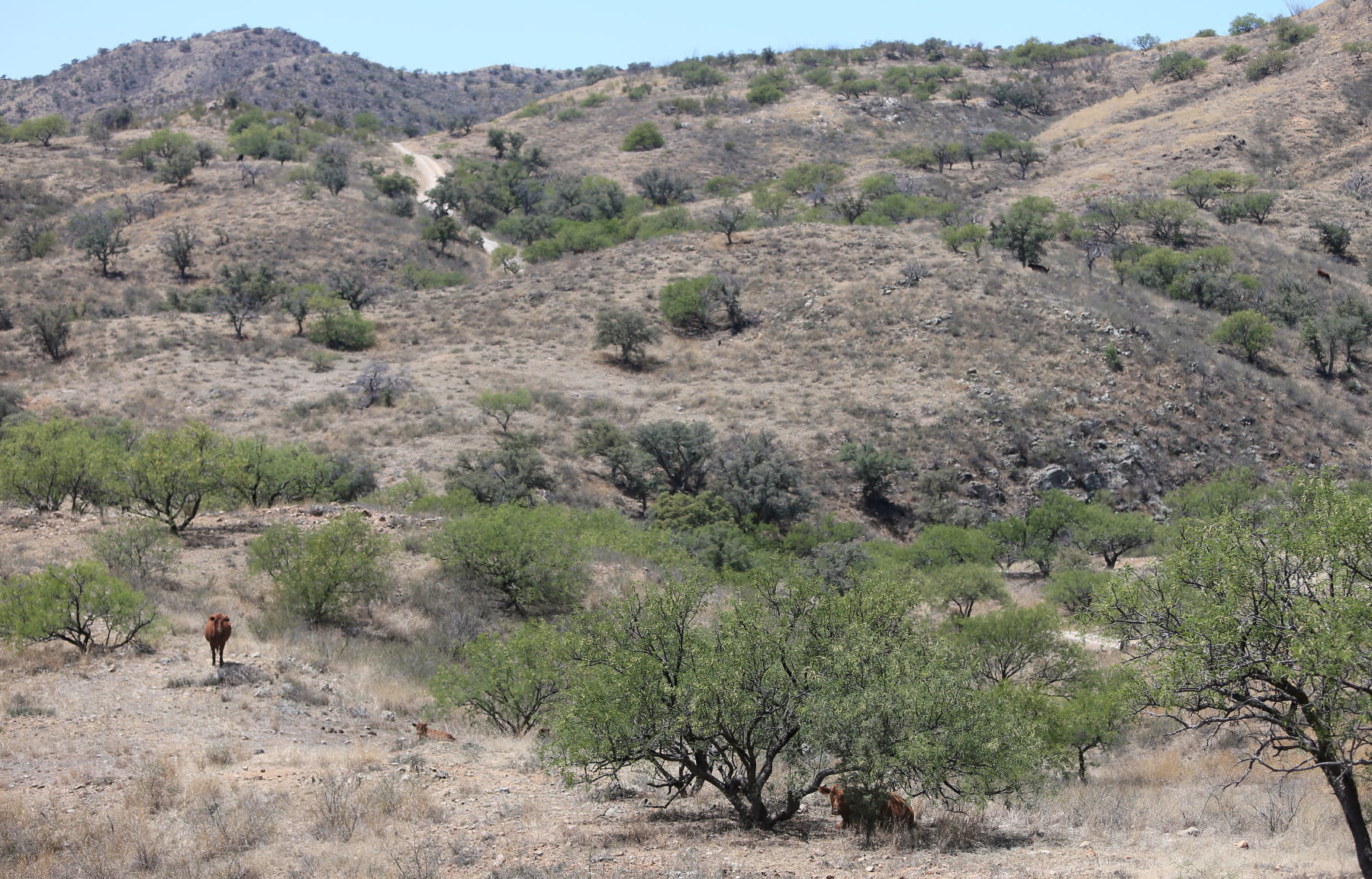 Chilton Ranch